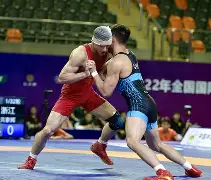 摔跤小组赛，关中铁骑队与皖江海豚队淘汰对手，阵地战处理得当！复盘值得玩味的简单介绍